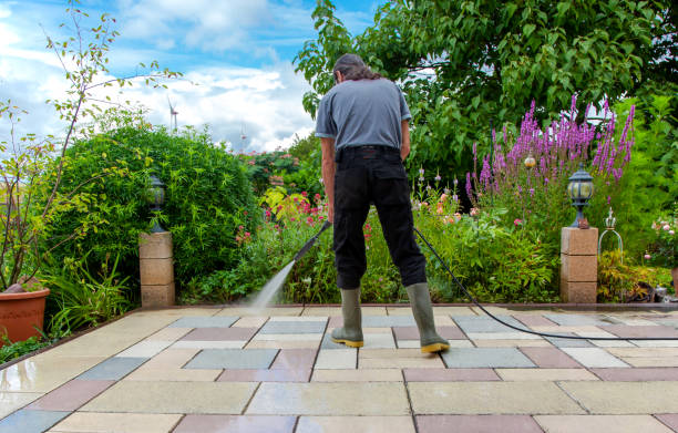 Best Spring Cleaning  in East Franklin, NJ